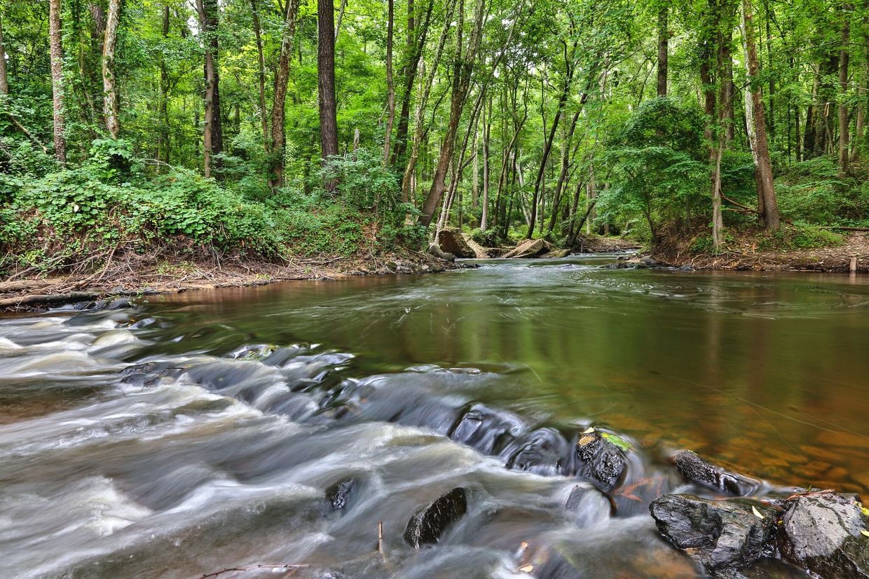 Hitchcock Creek
