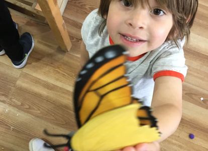 Two-year-old showing he found a butterfly.