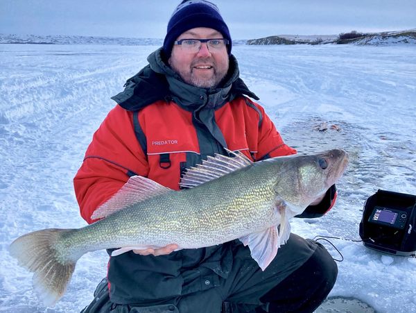 Walleye