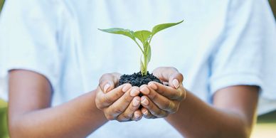 Dignity African Future Policies Hub (AFPH)