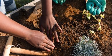 Empowerment African Future Policies Hub (AFPH)