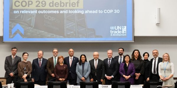 COP29 Debrief UN Trade and Development on relevant outcomes and looking ahead to COP30