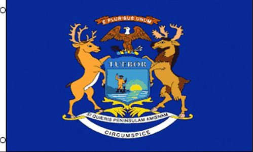 michigan divorce custody child support termination parental rights lawyer attorney affordable cheap