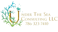 UNDER THE SEA CONSULTING LLC