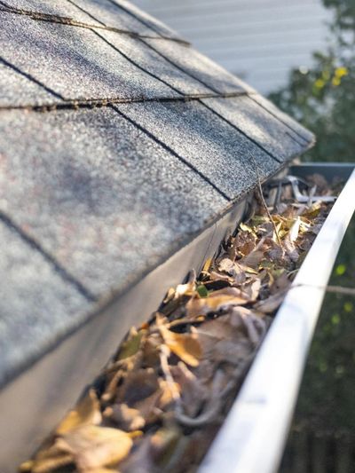 Clogged aluminum eavestrough and downpipes