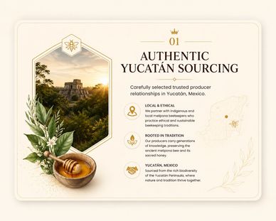 Infographic showcasing authentic Yucatán honey sourcing with local and ethical practices.