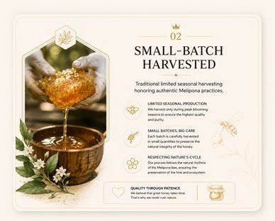 Small-batch harvested honey honoring traditional Melipona practices.