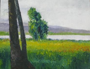 spring river tree