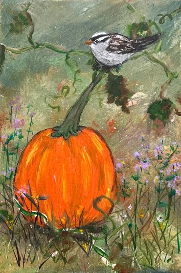 pumpkin field sparrow