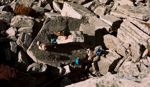 project management and advisory services