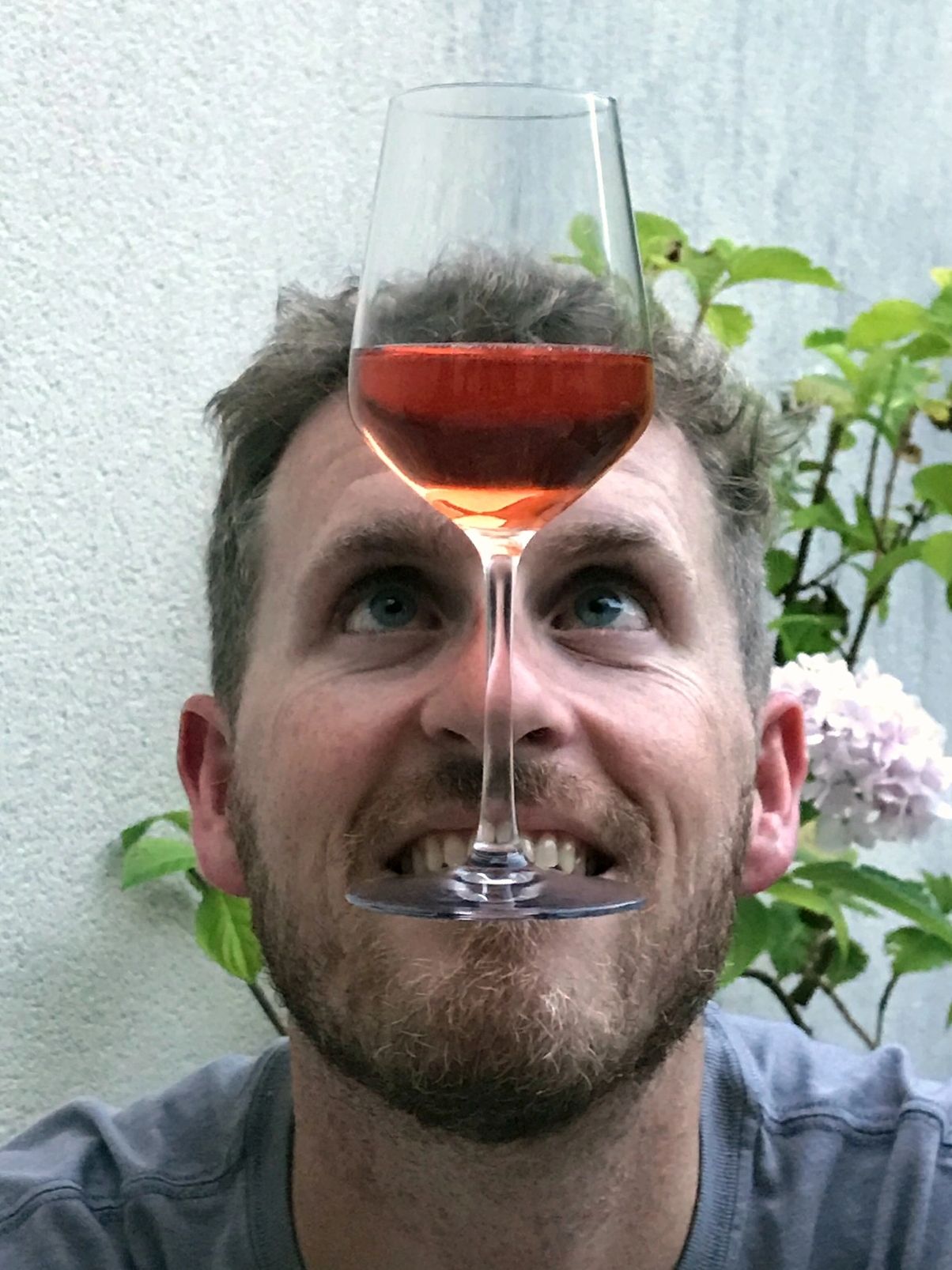 Man looking up at glass of rosé with glass balanced in his teeth