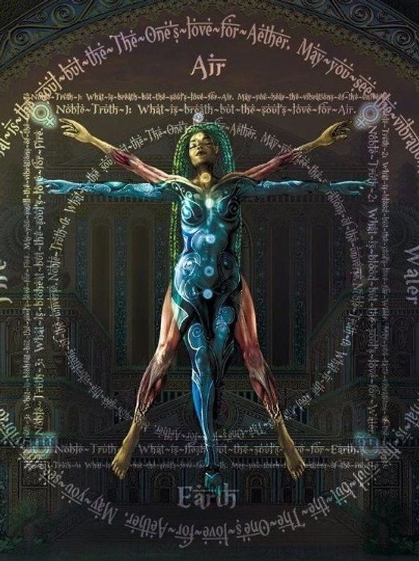 The Tulle-Box Vitruvian woman