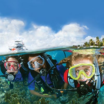Crystal Blue Diving is Giving Back on On-line Classes, Matching PADI’s discount on Open Water Diver 