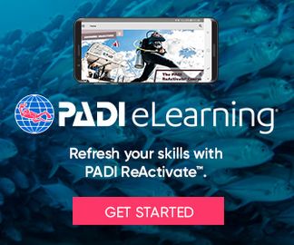 Scuba Classes Near me PADI Reactivate Class, Crystal Blue Diving, Lake In The Hills, IL 224-333-0800