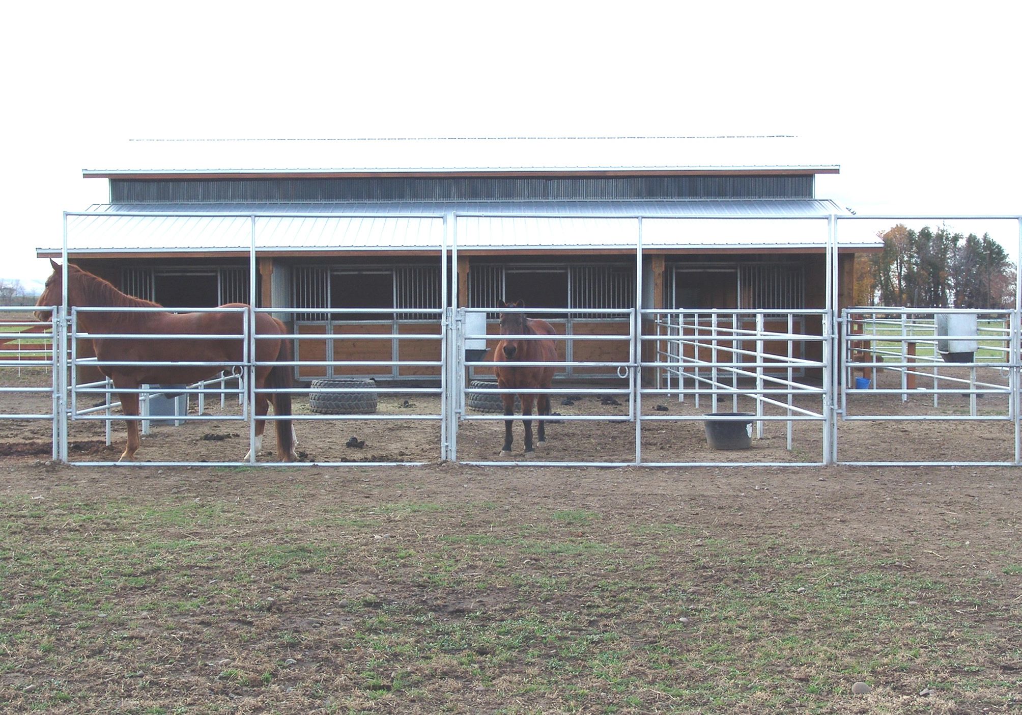 Noble Panels Venture Equine Solutions Llc