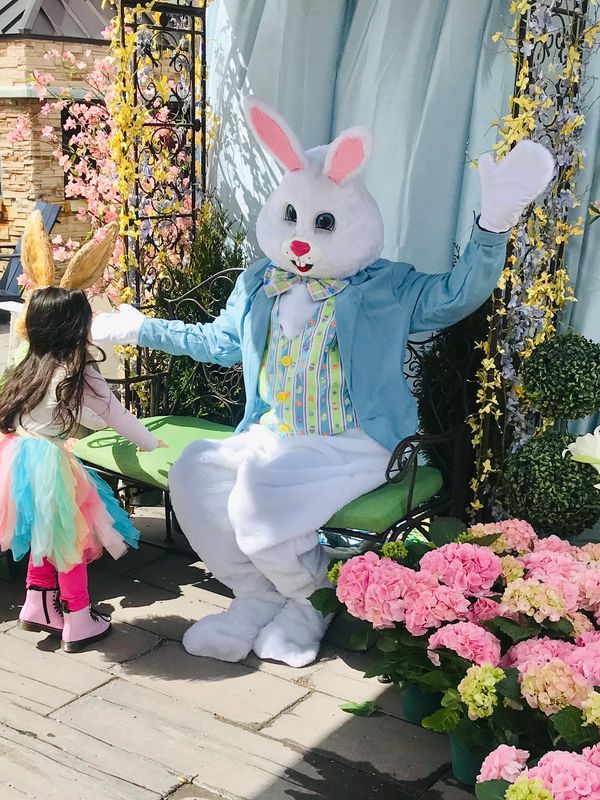 Easter Bunny for Hire