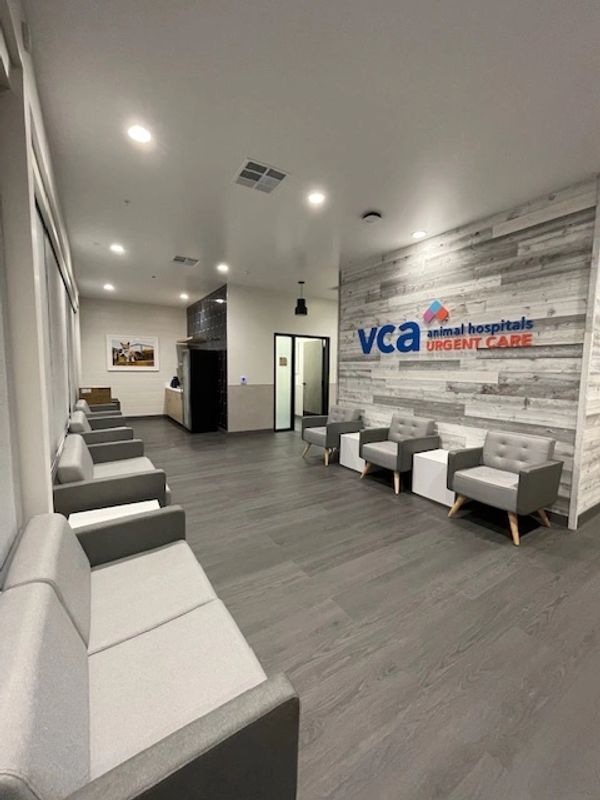 Modern waiting area at VCA animal hospitals urgent care with gray chairs and wooden floor.