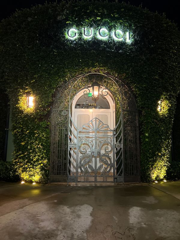 Elegant Gucci entrance with illuminated sign and ornate metal gate covered in greenery at night.