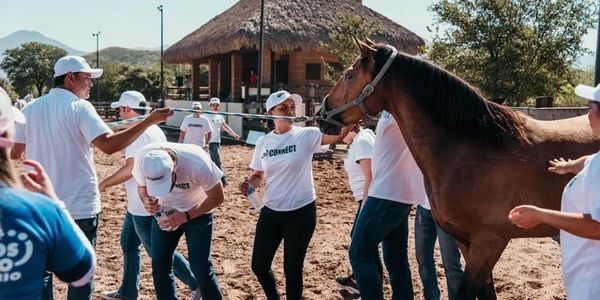 Equipo haciendo mindfulness con caballos