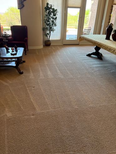 Clean carpet lines in a sunlit living room with furniture and plants.