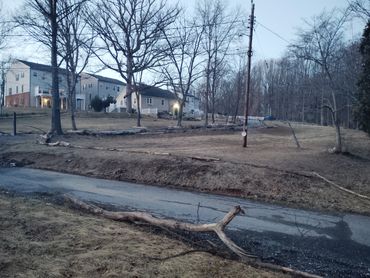 A fallen tree branch lies across a narrow road in a residential area during dusk.