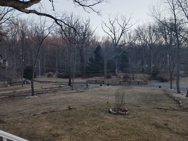 A leafless winter landscape with a grassy yard and bare trees.