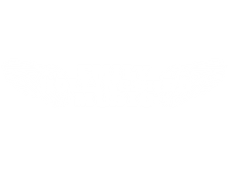 Emily Hollingshed Music