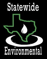 Statewide Environmental