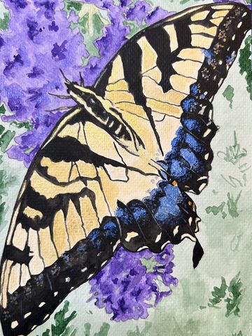 "Egolf's Tiger Swallowtail" watercolor painting by Natalee Wright, artist and owner.