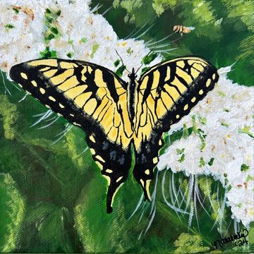 Jen’s Tiger Swallowtail by Natalee Wright