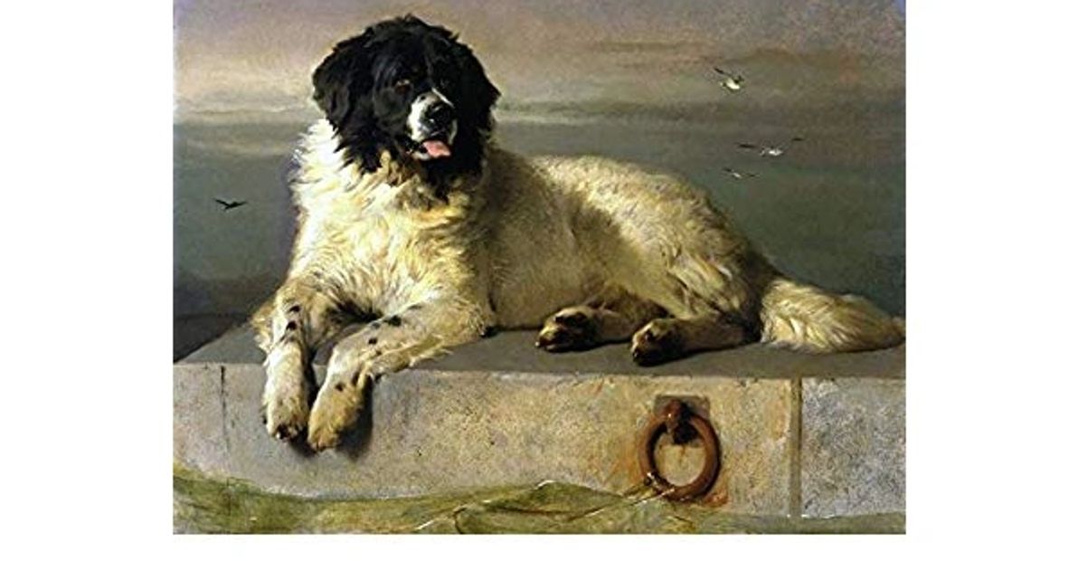 Landseer