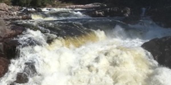 Powerful waterfall surrounded by lush green trees under a clear sky.