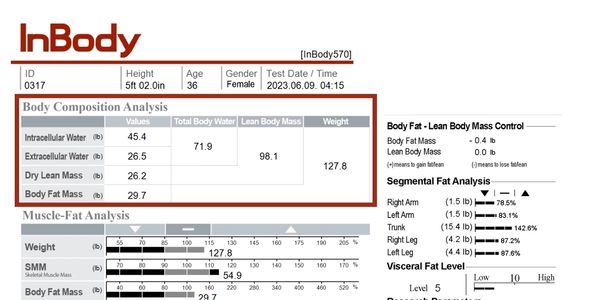 Body composition analysis - intracellular and extracellular water, lean mass, and body fat.