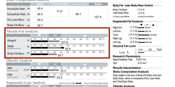 Weight, muscle mass, and body fat mass comparison.