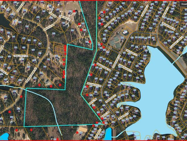 A detailed map showing land parcels, roads, and water bodies with red markers and blue boundary lines.