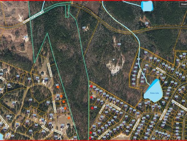 A detailed satellite map with roads, property lines, and lakes marked.