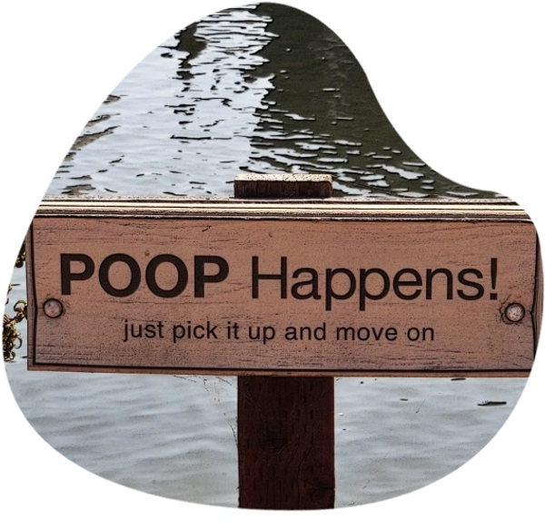 board of a pool happens