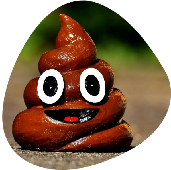 Symbol of a poop
