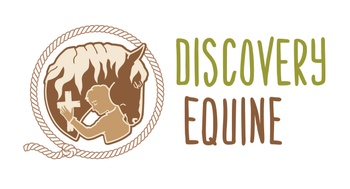 Discovery Equine at Cheam Stables
