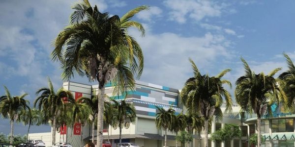 Modern shopping mall with palm trees and cars in the parking lot under a blue sky.