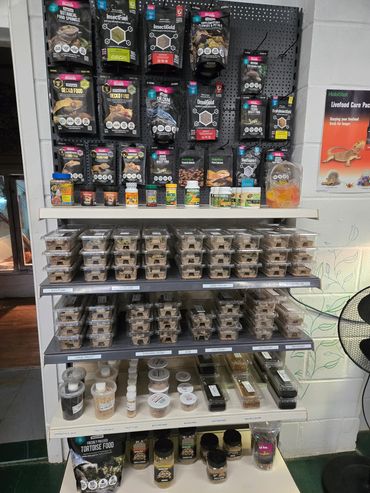 Our prepared and live food for your beasties!