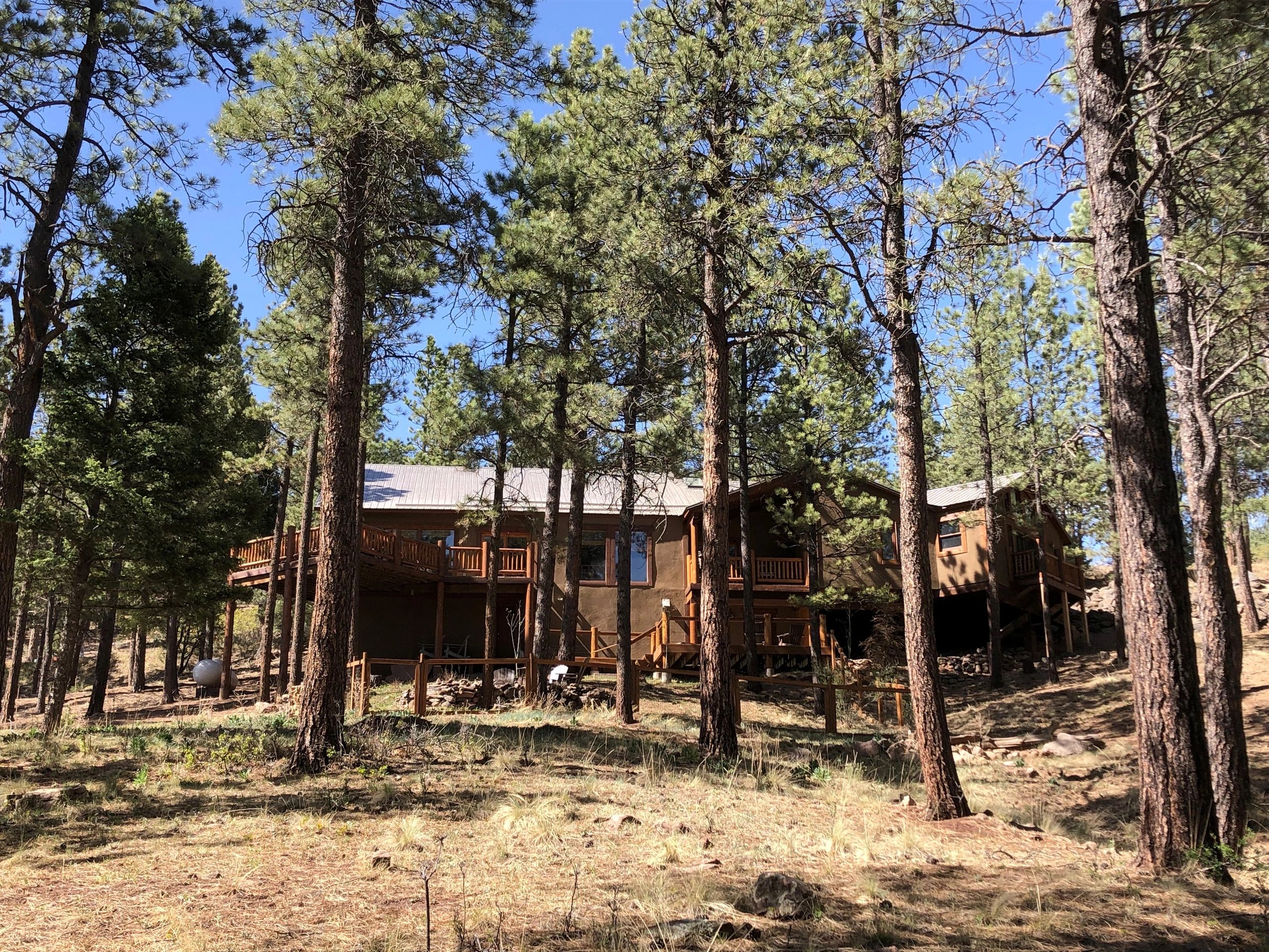 A rustic cabin nestled among tall pine trees in a sunny forest.