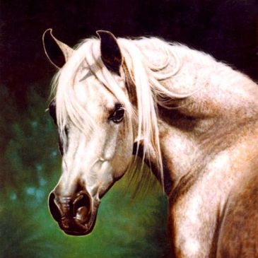 Oil Portrait of Maar Ree