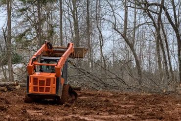 Orange bulldozer clearing a muddy forest area with fallen trees.