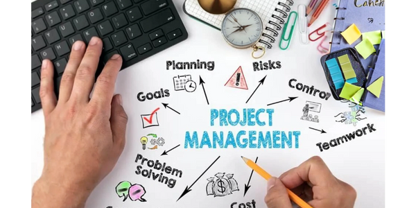 Government project management services focused on risk mitigation and operational excellence.