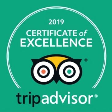 Excellence since 2019