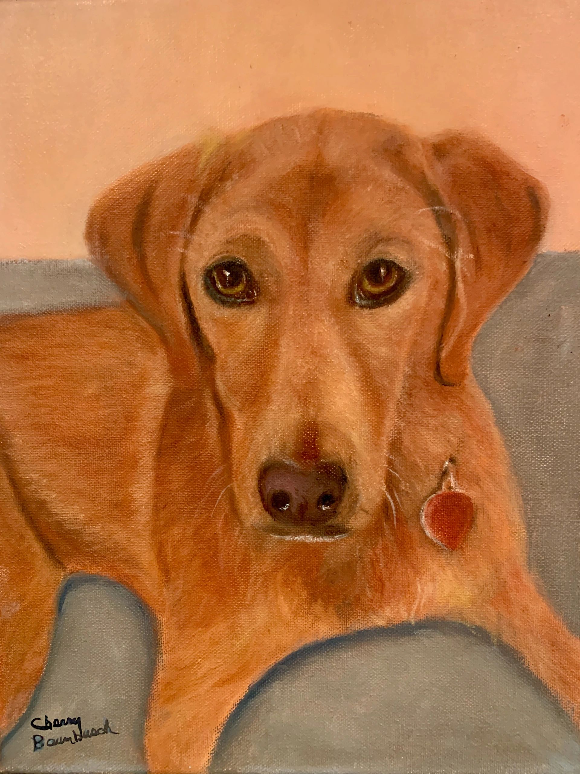 Ruby, red labrador, oil on canvas