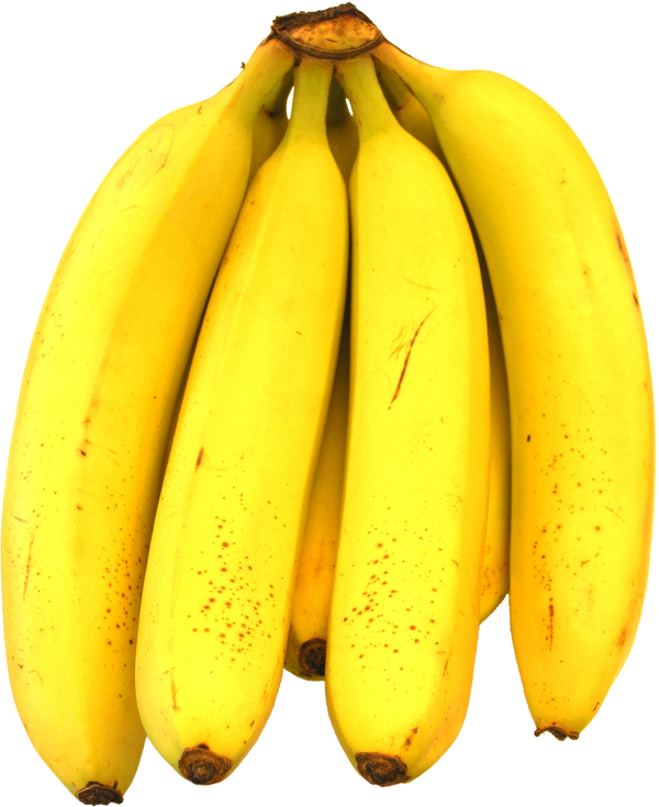 Banano de exportación de primera calidad, cultivado en condiciones óptimas que aseguran uniformidad,