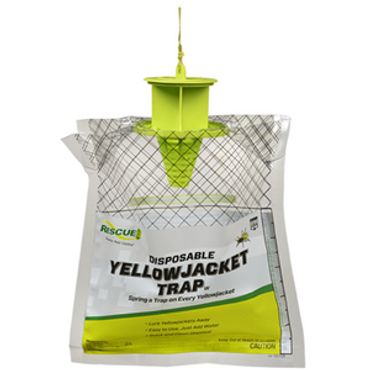 Disposable Yellow Jacket Trap