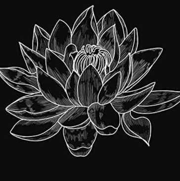 A white lotus on a black background.